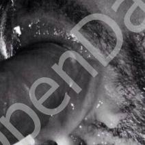 1cb1261d68fe22dd023b730ebb