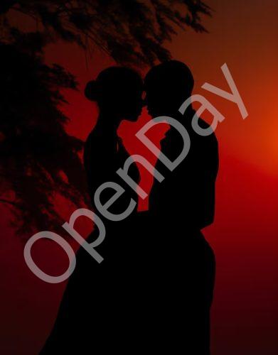 abstract-couple-portrait-with-light-effects_23-2151118202
