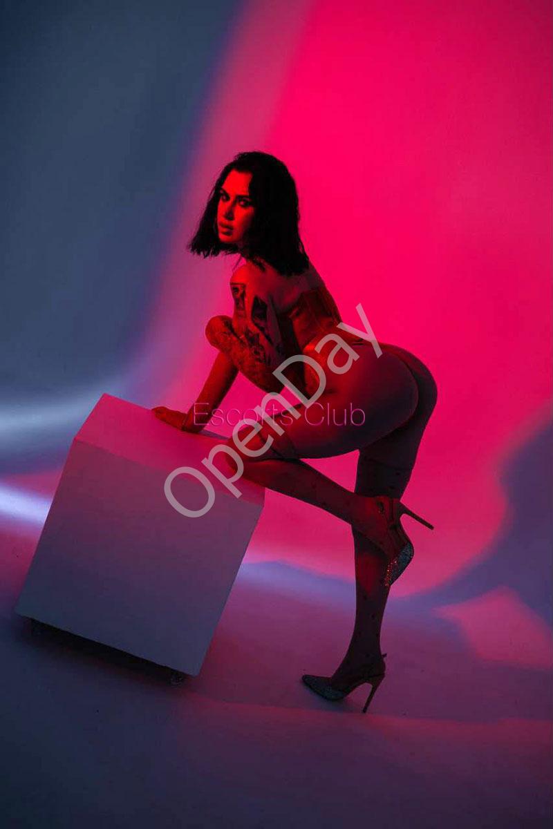 Louna2610-(10)