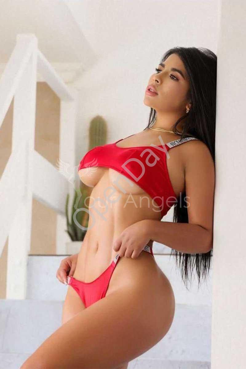 Paloma25-(2)